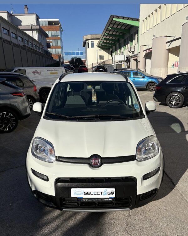 IMG_1135 Fiat Panda